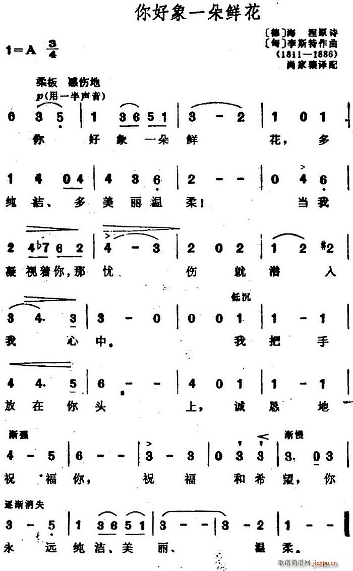 匈 德 你好像一朵鲜花(十字及以上)1