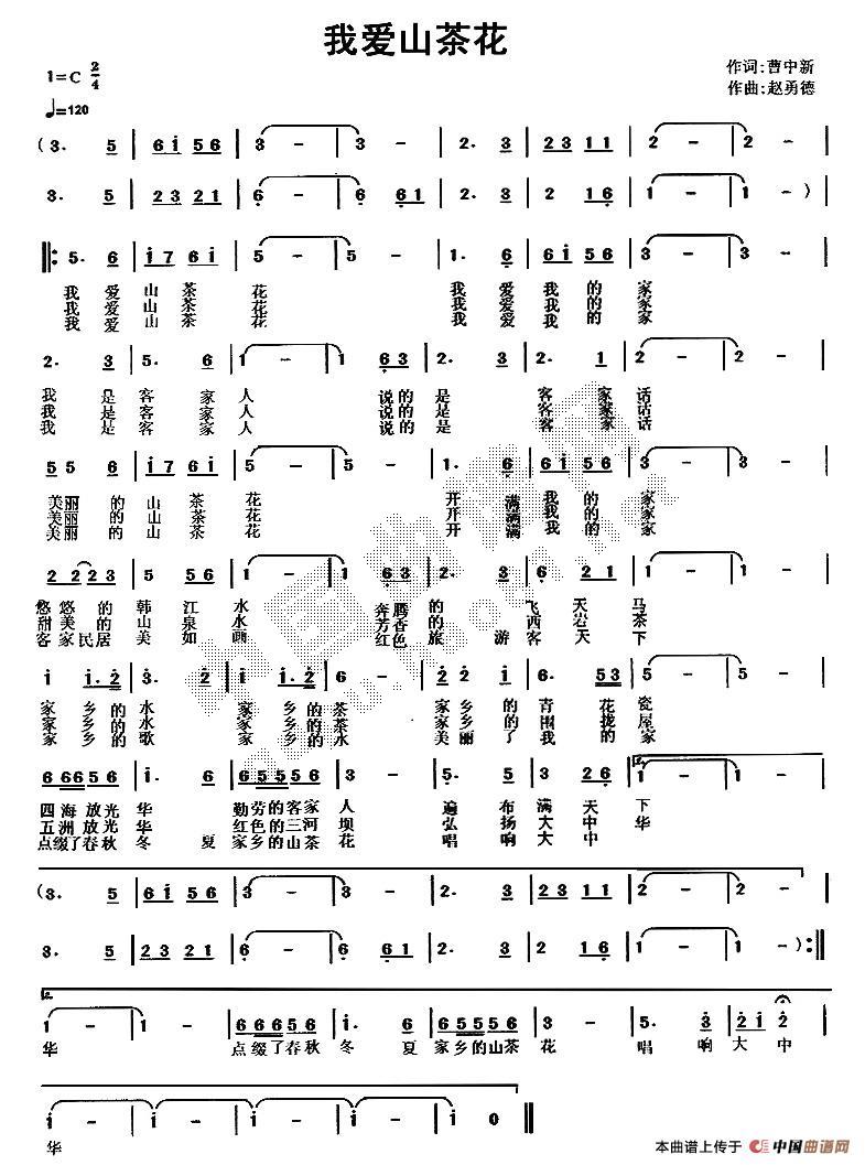 我爱山茶花(五字歌谱)1