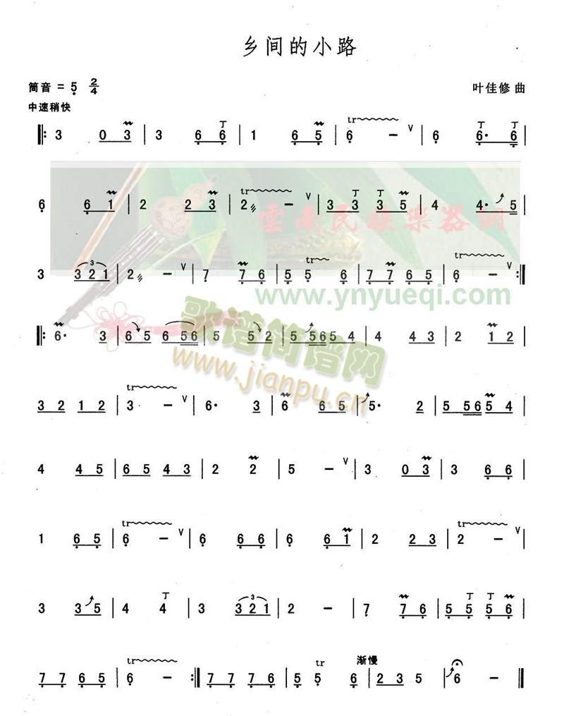 乡间的小路(葫芦丝谱)1
