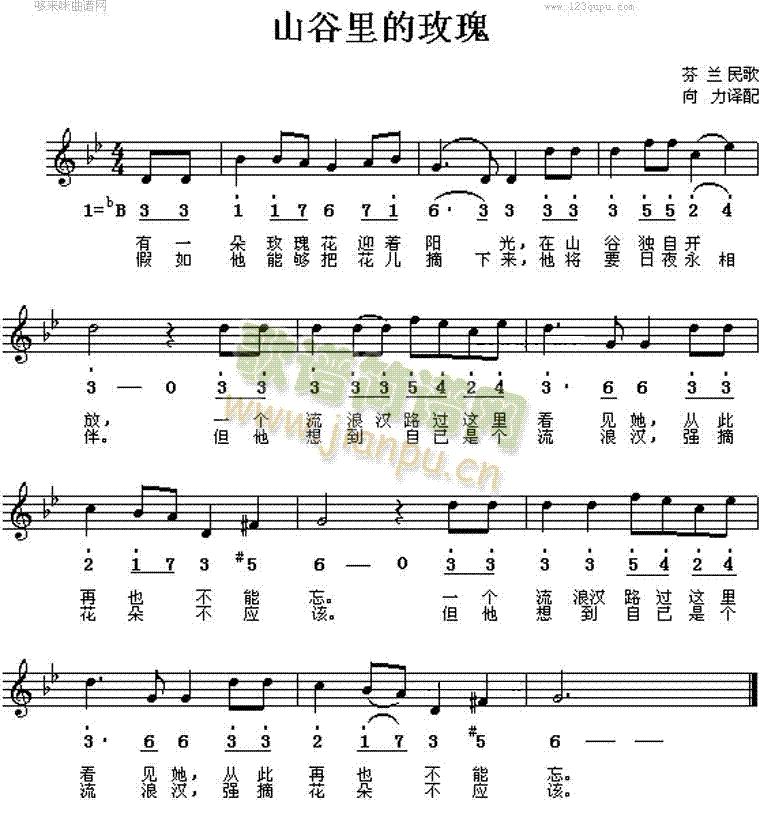 山谷的玫瑰(五字歌谱)1