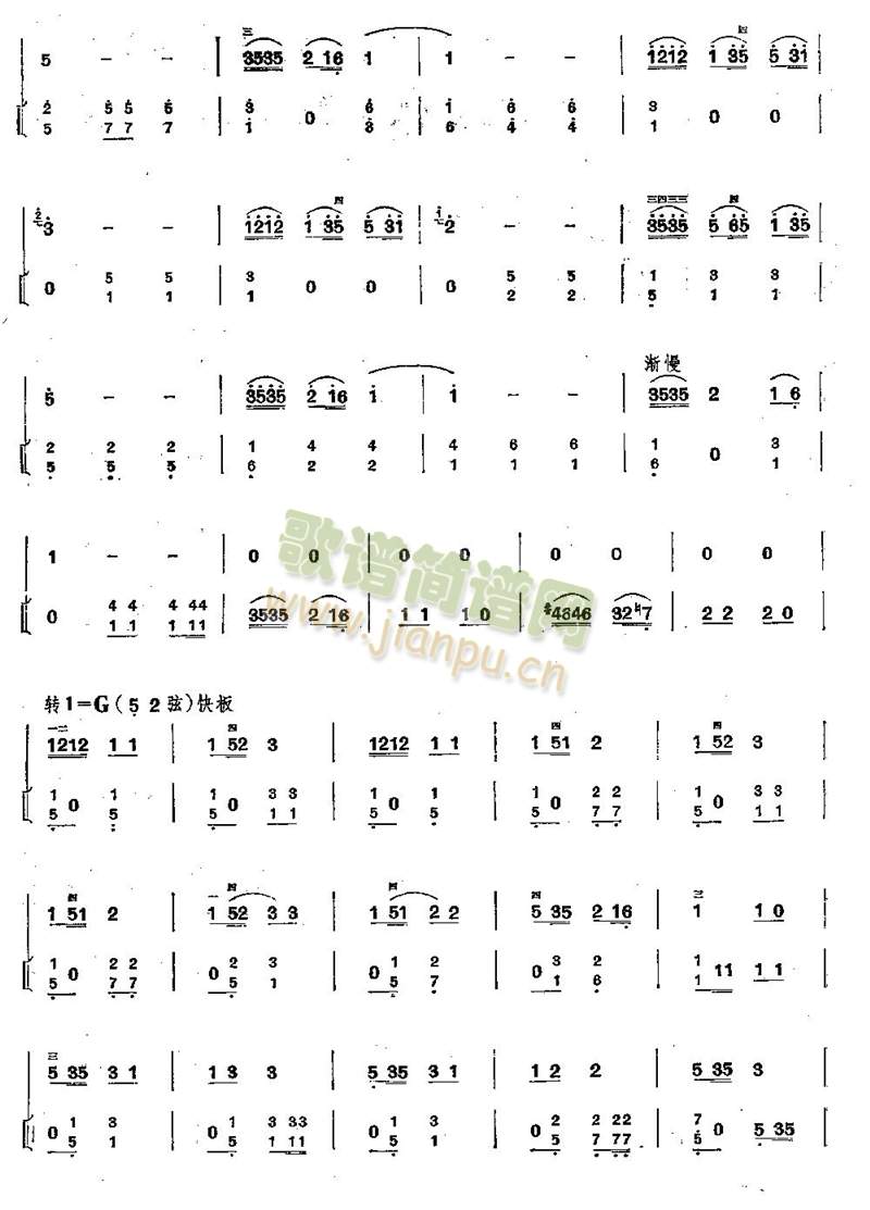 美丽的金孔雀(其他)3