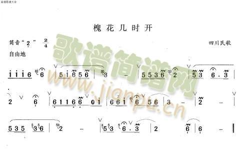 槐花几时开(笛萧谱)1