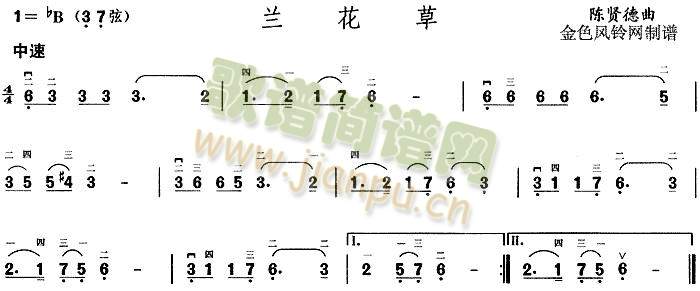 兰花草(其他)1