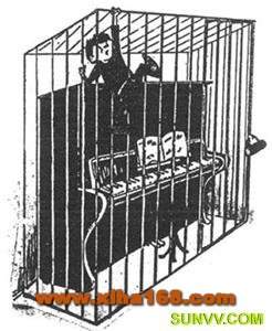 daiyong2(其他乐谱)8