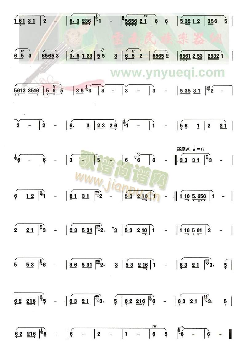 映山红(葫芦丝谱)3