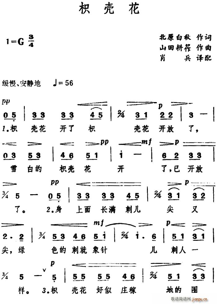 日 枳壳花(五字歌谱)1