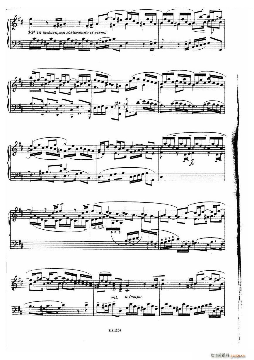 Durante Toccate Toccate(十字及以上)24