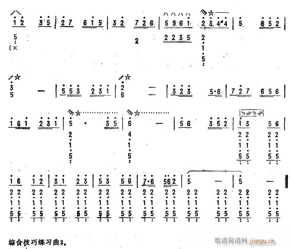 祝君早康复 琵琶 3(琵琶谱)1