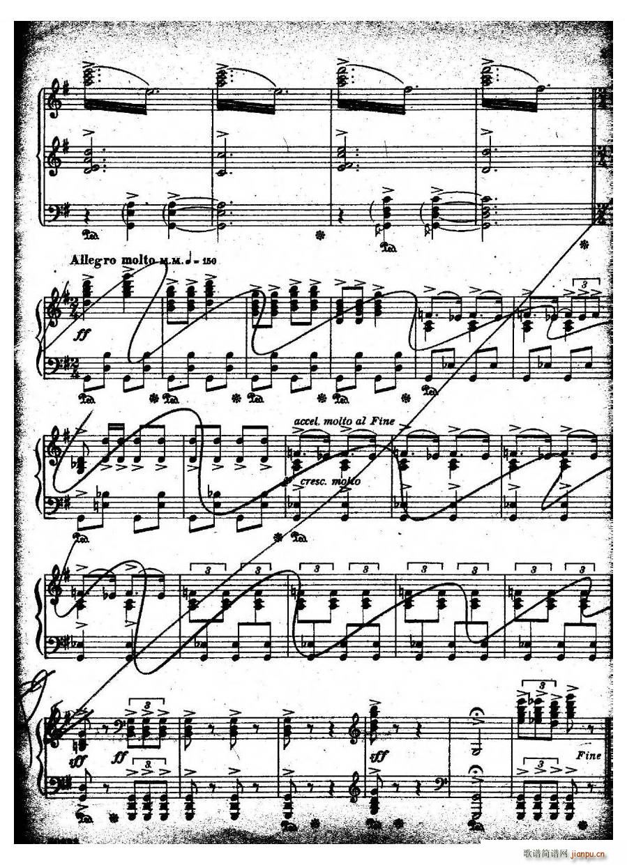 Coates Cinderella 3 Cinderella 3(十字及以上)9