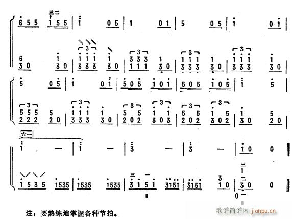 节奏练习曲 琵琶二重奏 6(琵琶谱)1