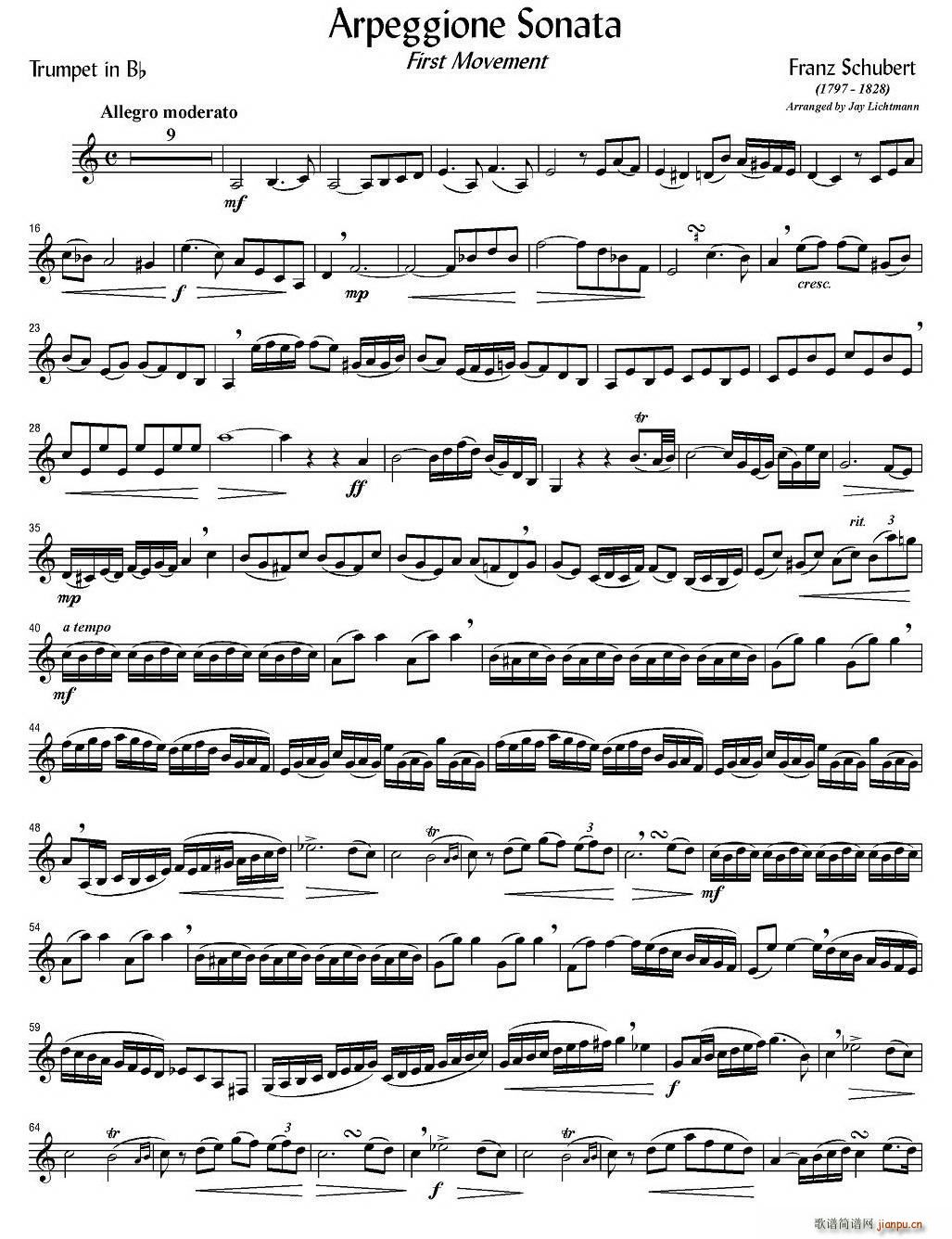 Arpeggione Sonata 铜管(十字及以上)1