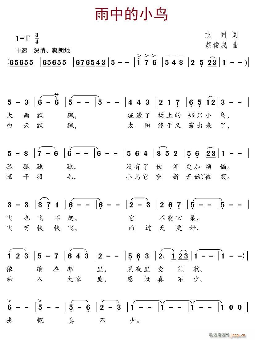 雨中的小鸟(五字歌谱)1