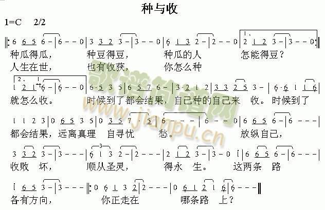 种预收(其他)1