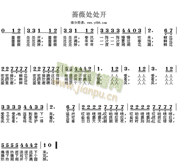 蔷薇处处开(五字歌谱)1