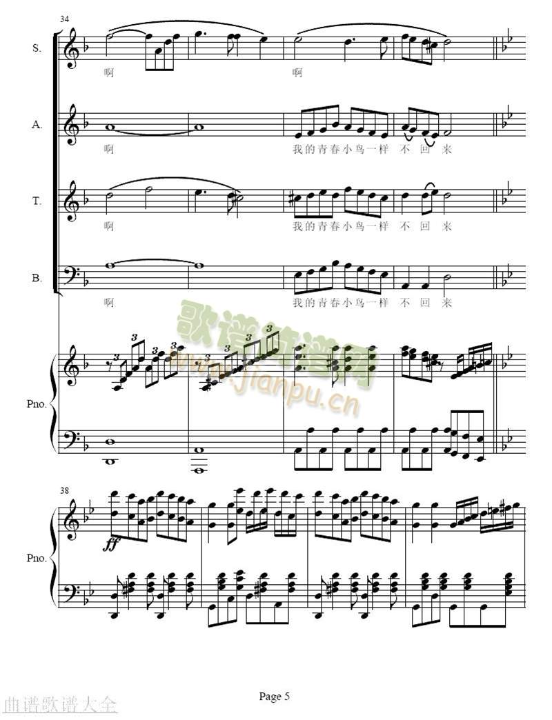 青春舞曲(其他)5