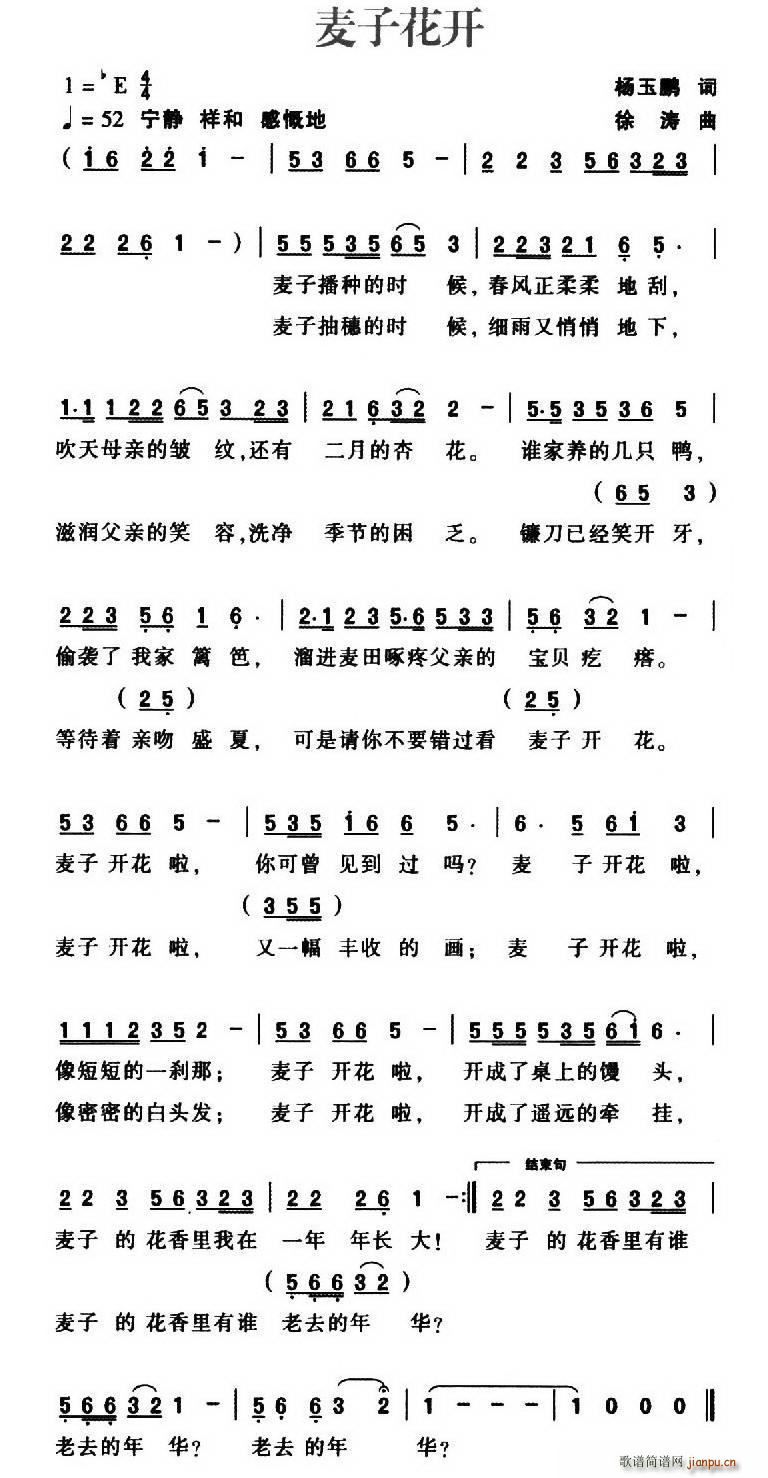 麦子花开(四字歌谱)1
