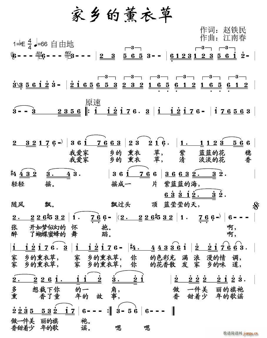 家乡的薰衣草(六字歌谱)1