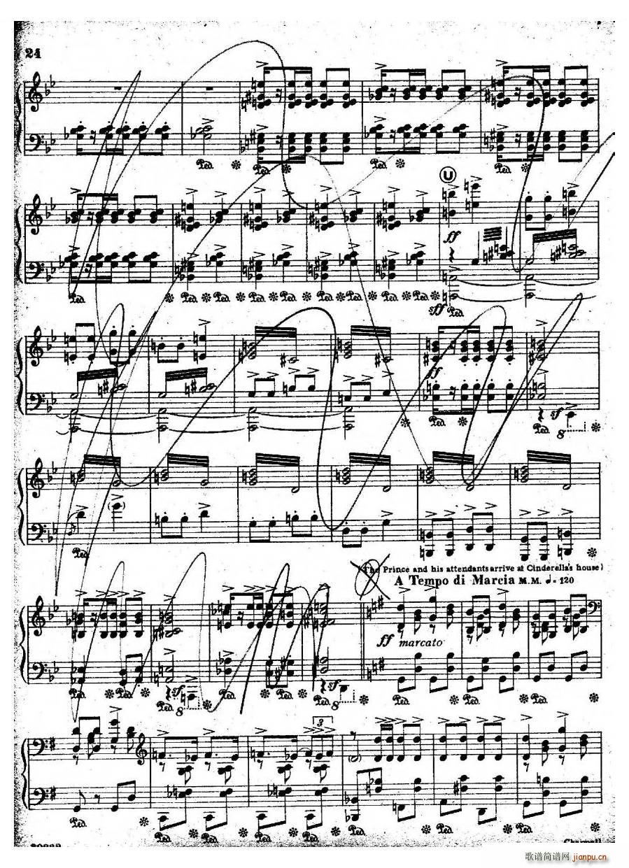 Coates Cinderella 3 Cinderella 3(十字及以上)6