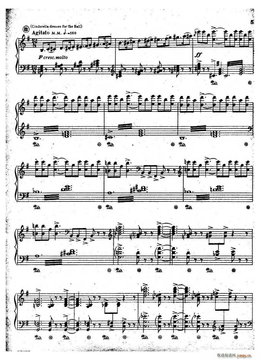 Coates Cinderella 1 Cinderella 1(十字及以上)5