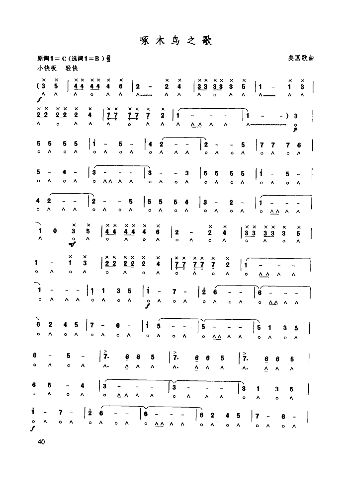 啄木鸟之歌(其他)1