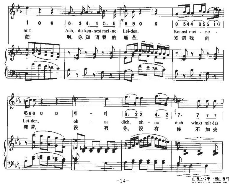 Ha，TreuloserP14(十字及以上)1