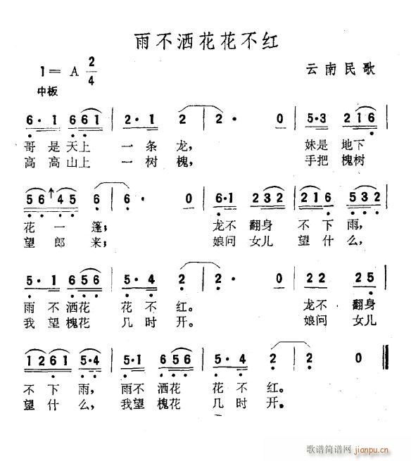 雨不洒花花不红 扫描谱(十字及以上)6