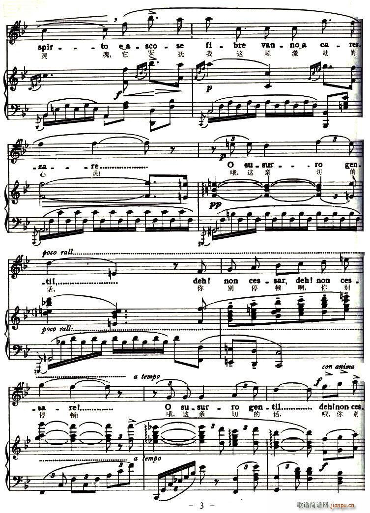 我从来没有见过(七字歌谱)3