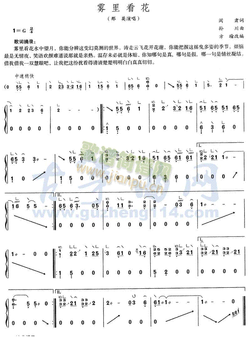 雾里看花(古筝扬琴谱)1