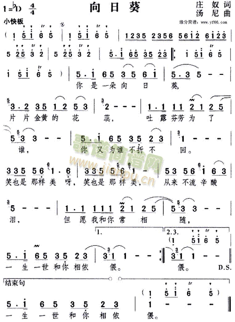 向日葵(三字歌谱)1