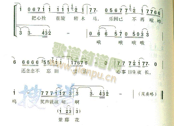 紫藤花(三字歌谱)3