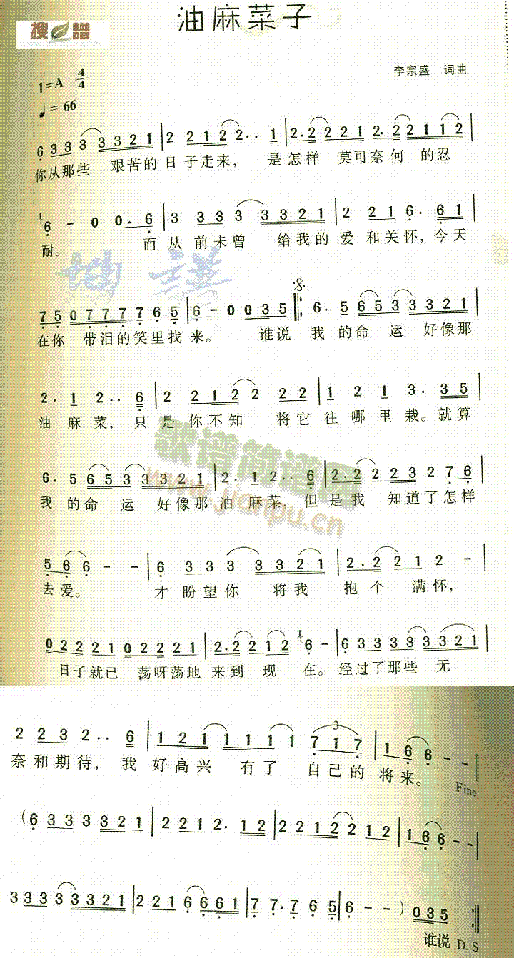 油麻菜子(四字歌谱)1