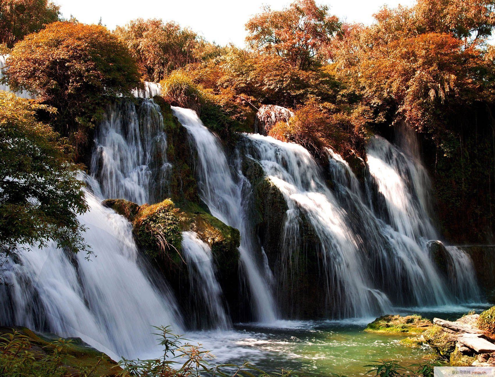 如果......(八字歌谱)3