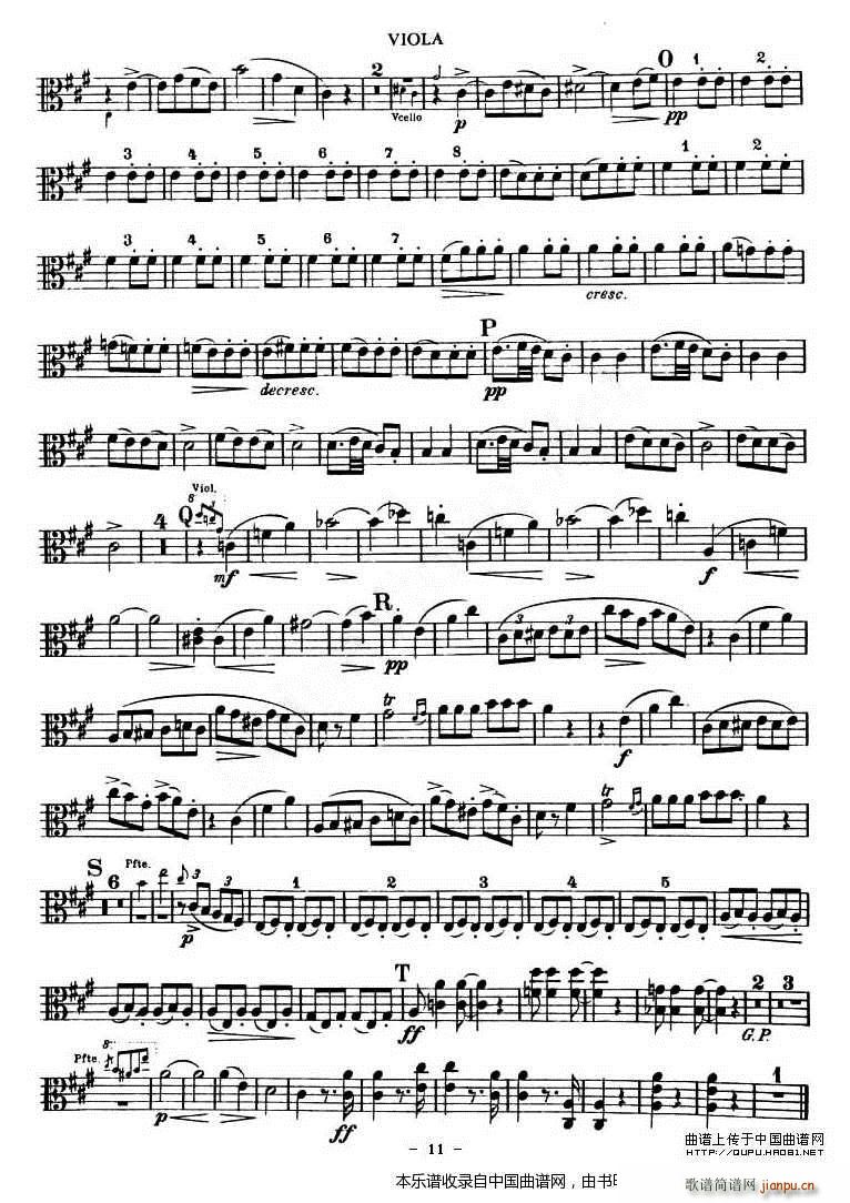 TROUT QUARTET 中(十字及以上)11