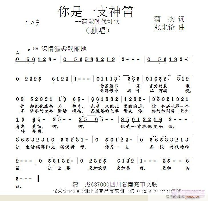 你是一支神笛(笛箫谱)1