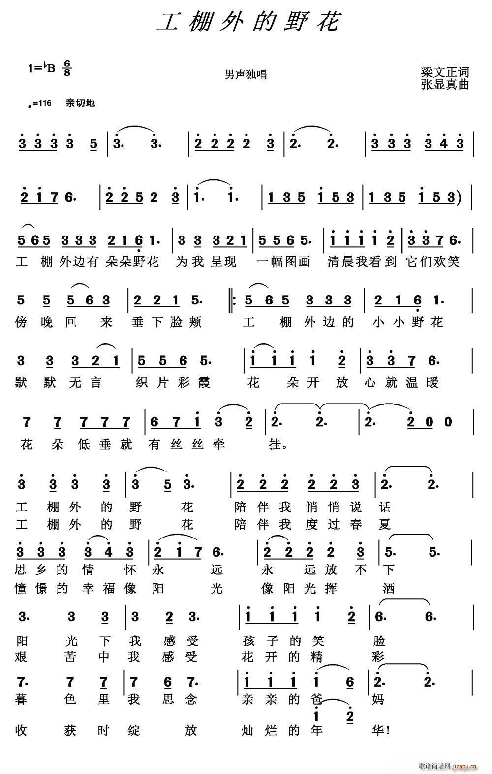 工棚外的野花(六字歌谱)1