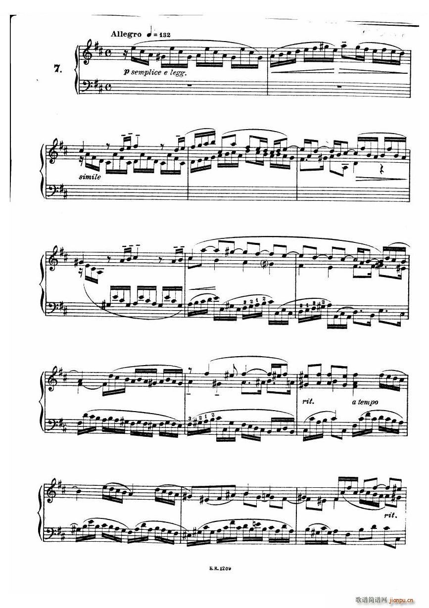 Durante Toccate Toccate(十字及以上)23