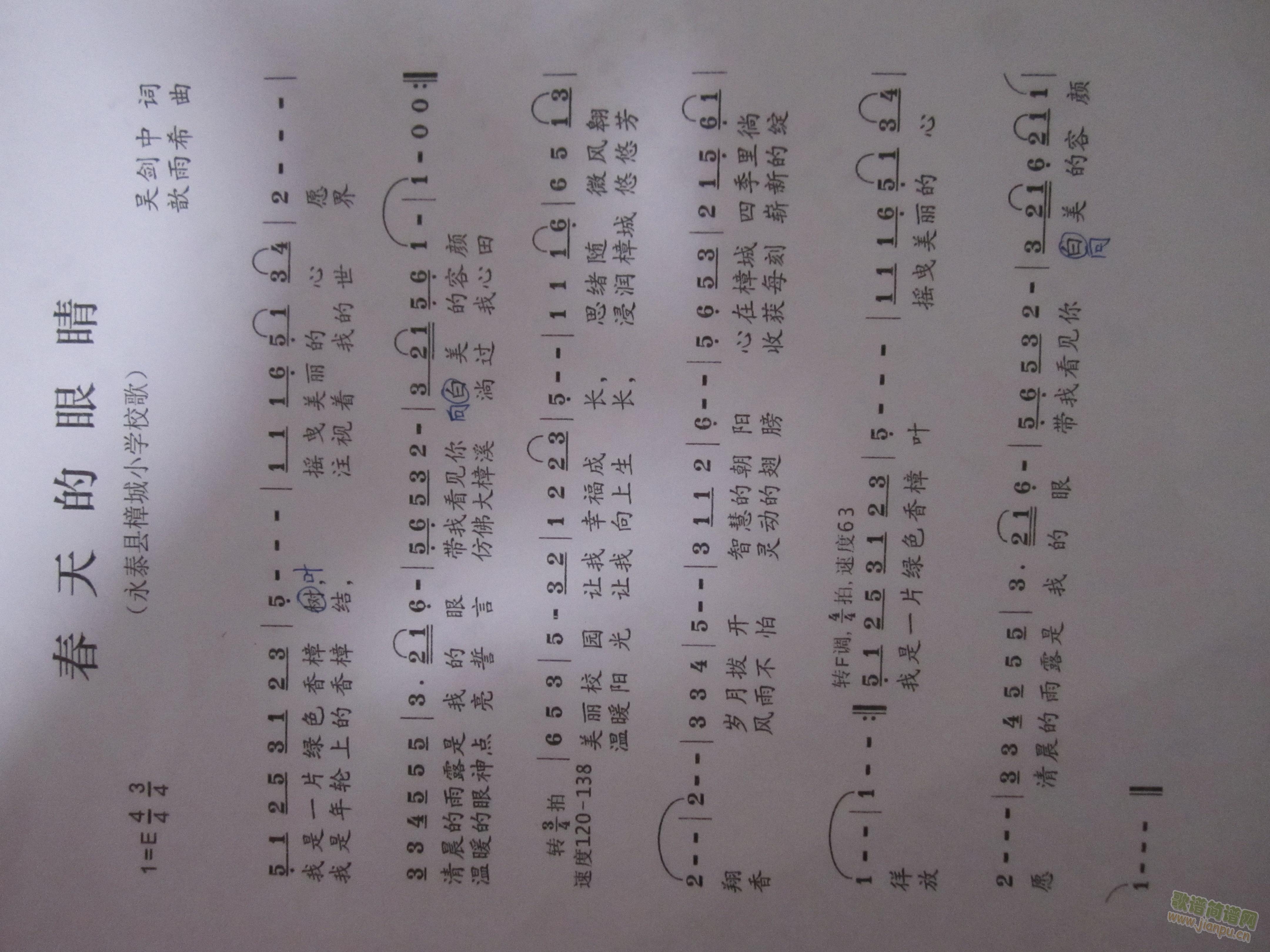 春天的眼睛(五字歌谱)1