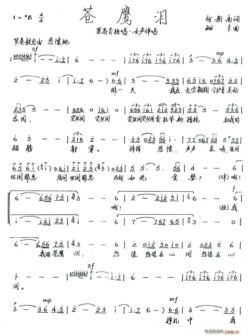 苍鹰泪(三字歌谱)1