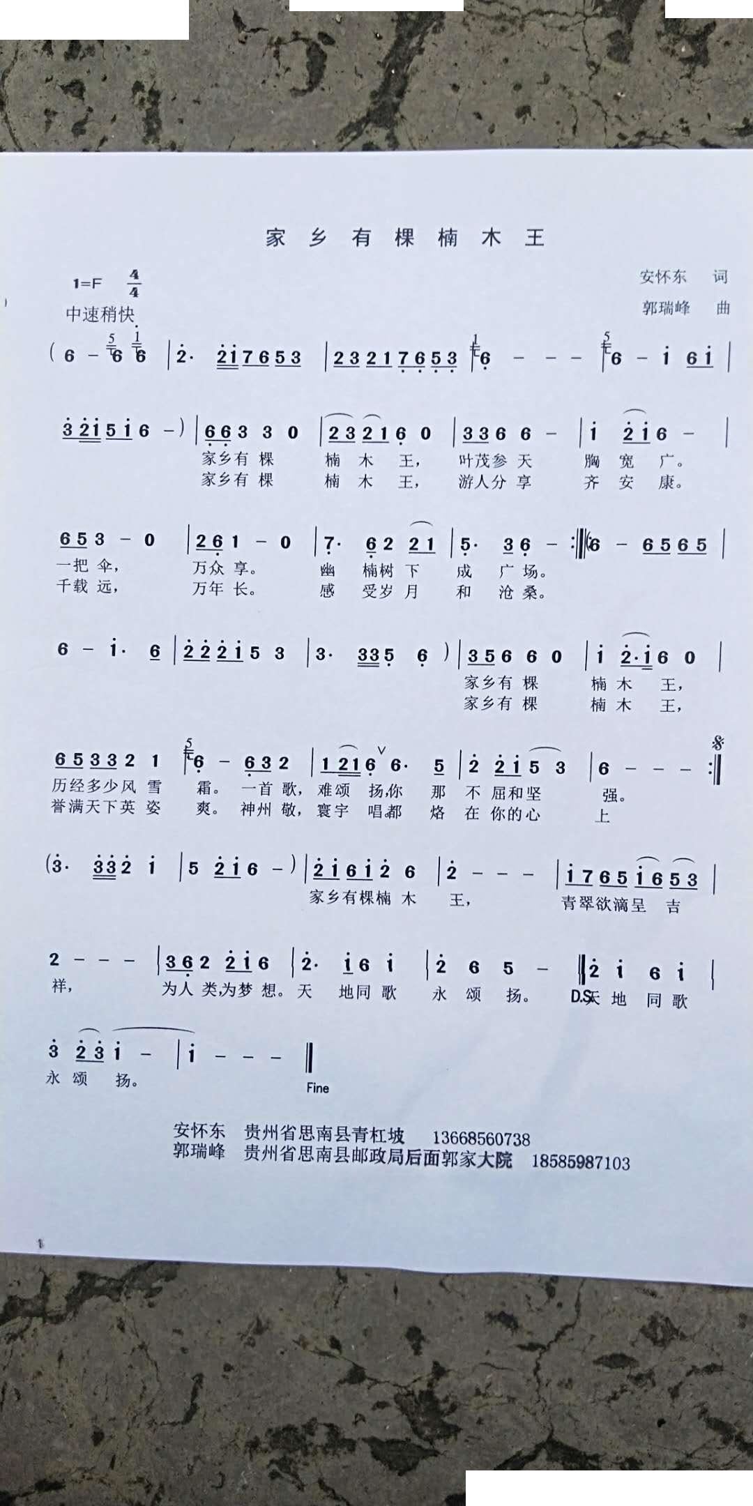 家乡有棵楠木网(七字歌谱)1