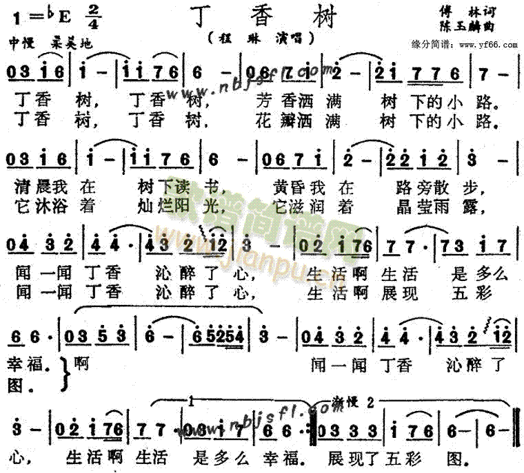 丁香树(三字歌谱)1