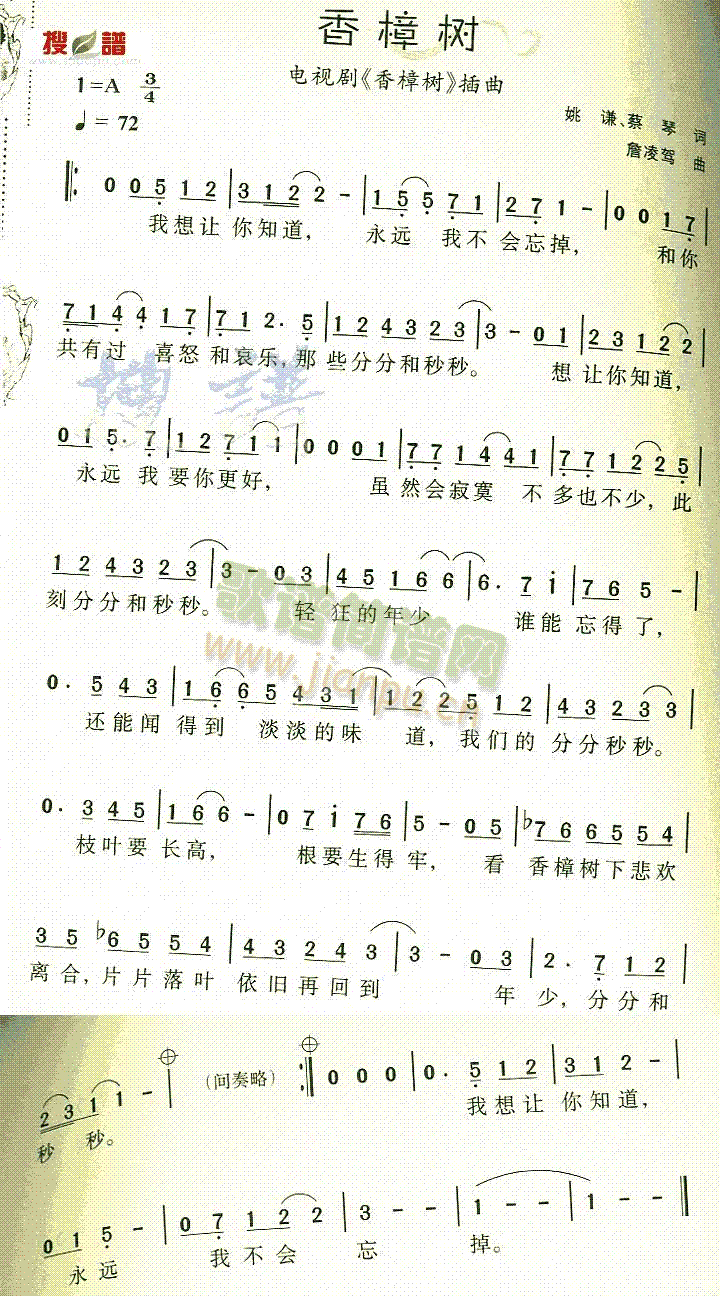 香樟树(三字歌谱)1