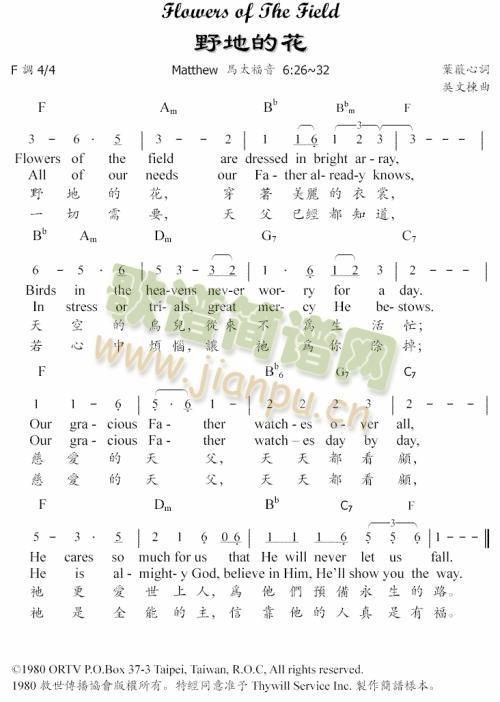 绿地的野花(五字歌谱)1