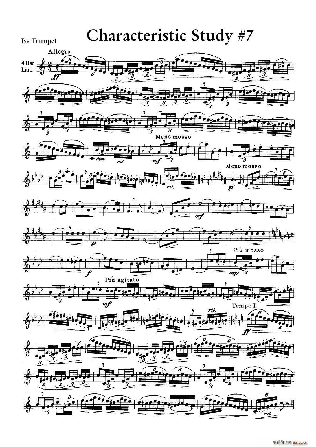 Characteristic Study 7 小号(十字及以上)1