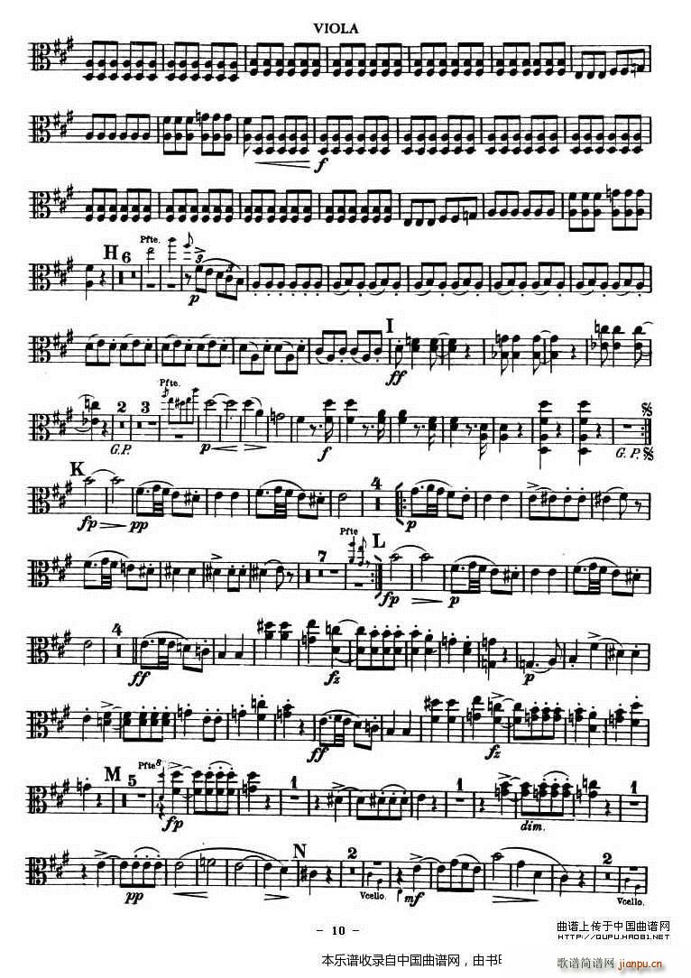 TROUT QUARTET 中(十字及以上)10