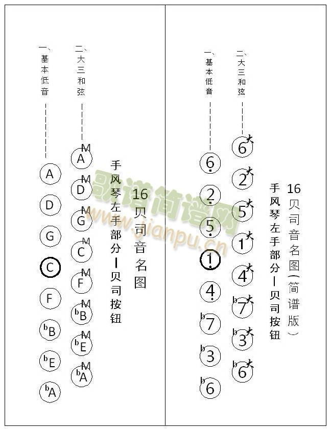 手风琴 贝司音名图(手风琴谱)3