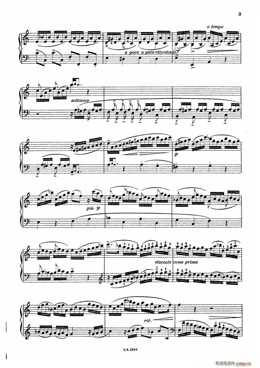 Durante Toccate Toccate(十字及以上)3