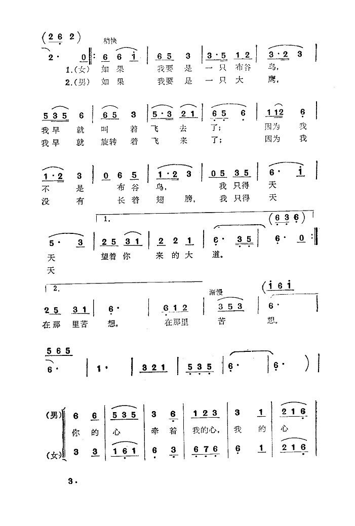 花伙里好不过藏金花(九字歌谱)3