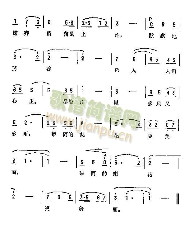 带雨的梨花更美丽(八字歌谱)1