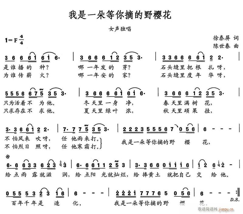 我是一朵等你摘的野樱花(十字及以上)1