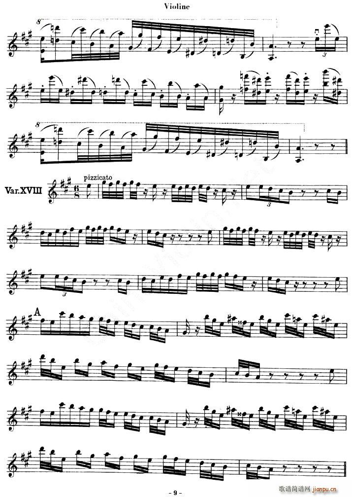 LE CARNAVAL DE VENISE(十字及以上)9